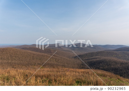 spacious green, yellow fields and mountains 90232965