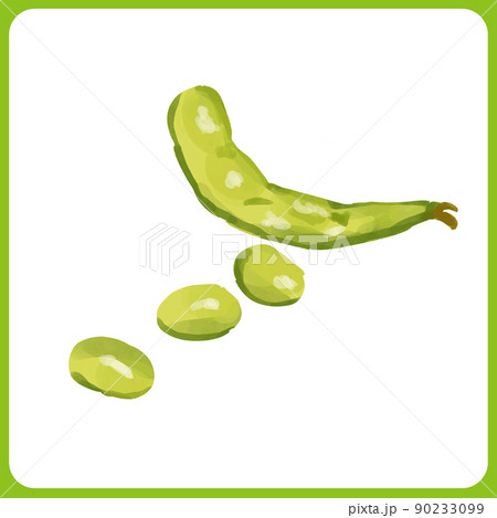 手描き水彩の枝豆イラストのイラスト素材