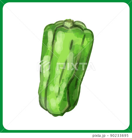 手描き水彩のピーマンイラスト 90233695