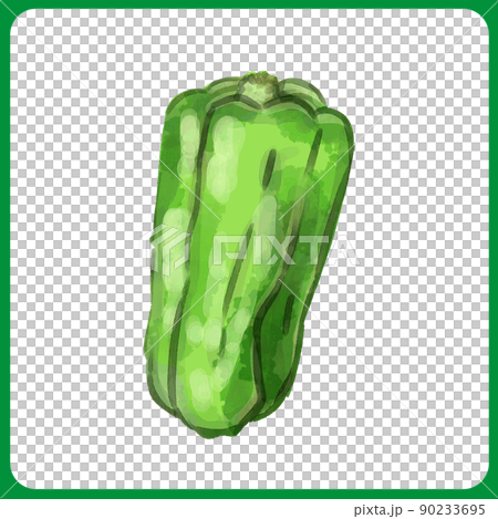 手描き水彩のピーマンイラスト 90233695
