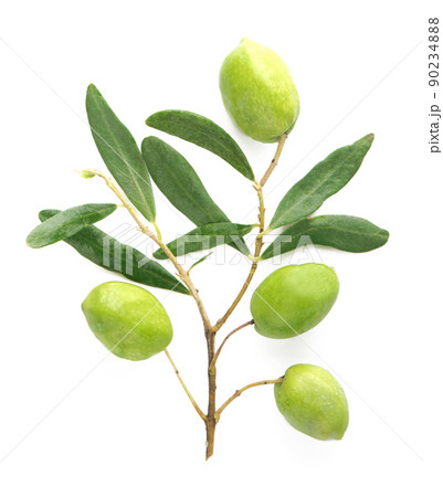 Olive fruit and olive leaves on a white background 90234888