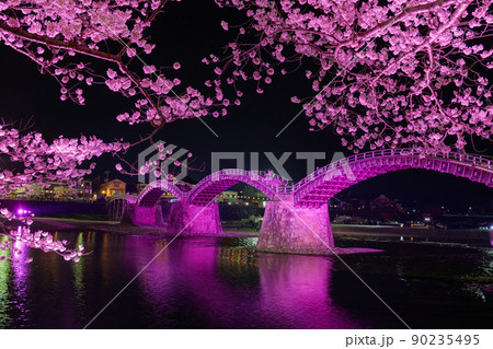 錦帯橋の夜桜 90235495
