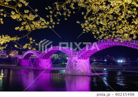 錦帯橋の夜桜 90235496