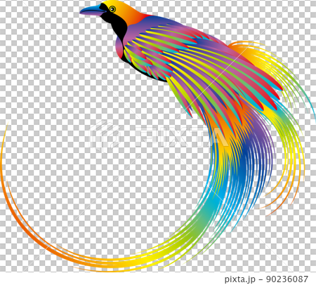 Colorful and vividly colored bird frame Colorful and vividly colored bird frame 90236087