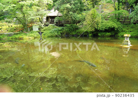 高千穂峡 【宮崎県高千穂町】 高千穂峡 【宮崎県高千穂町】 90236435