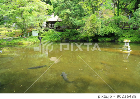 高千穂峡　【宮崎県高千穂町】 90236438