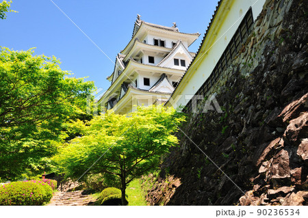 郡上八幡城の新緑 郡上八幡城の新緑 90236534