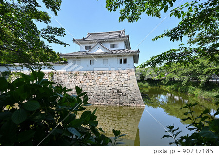 近江「水口城」「水口岡山城」の曲輪と石垣 近江「水口城」「水口岡山城」の曲輪と石垣 90237185