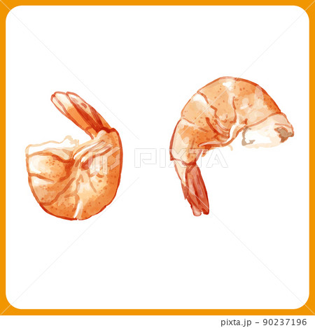 手描き水彩の蒸し海老イラスト2 90237196