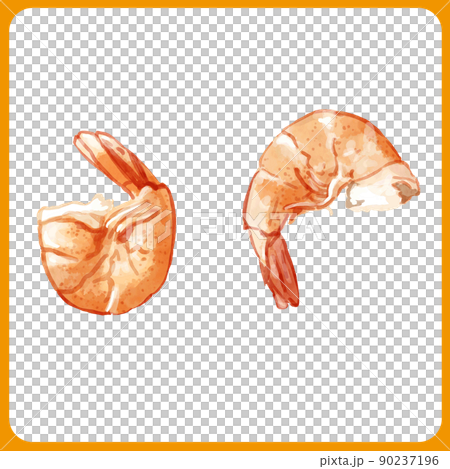 手描き水彩の蒸し海老イラスト2 90237196