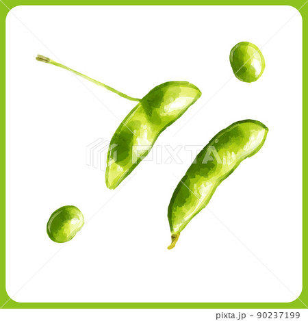 手描き水彩の枝豆 茶豆 イラスト2のイラスト素材