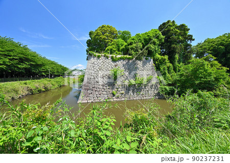 近江「水口城」「水口岡山城」の曲輪と石垣 90237231