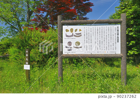 近江「水口城」「水口岡山城」の曲輪と石垣 90237262