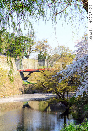 春の朝　会津鶴ヶ城堀端にて　福島県 90237429