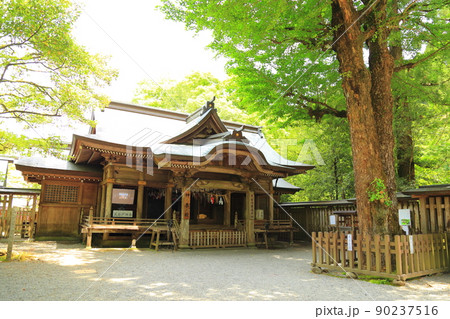 天岩戸神社（あまのいわと神社）西本宮　【宮崎県高千穂町】 90237516