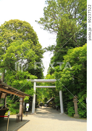 天岩戸神社(あまのいわと神社)西本宮 【宮崎県高千穂町】 天岩戸神社(あまのいわと神社)西本宮 【宮崎県高千穂町】 90237522