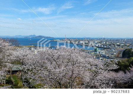 大竹市亀井公園の桜 90237683