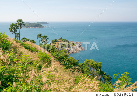 Phuket island Laem promthep cape with coconut palm trees and grass in the foreground beautiful scenery andaman sea in summer season Phuket thailand Beautiful travel background 90239012