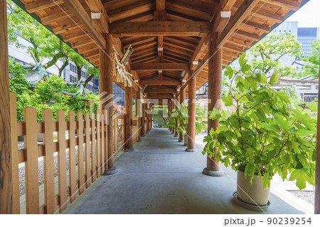 坐摩神社 いかすり神社 境内北側の摂末社群(大阪市本町 新緑の季節) 坐摩神社 いかすり神社 境内北側の摂末社群(大阪市本町 新緑の季節) 90239254