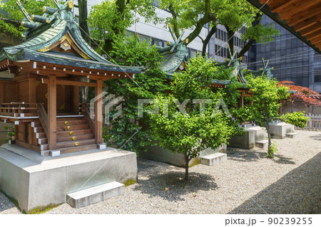 坐摩神社　いかすり神社　境内北側の摂末社群（大阪市本町　新緑の季節） 90239255