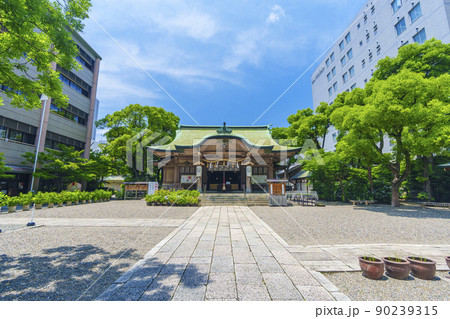 坐摩神社　いかすり神社　本殿（大阪市本町　新緑の季節） 90239315