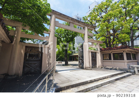 坐摩神社　いかすり神社　三ツ鳥居（大阪市本町　新緑の季節） 90239318