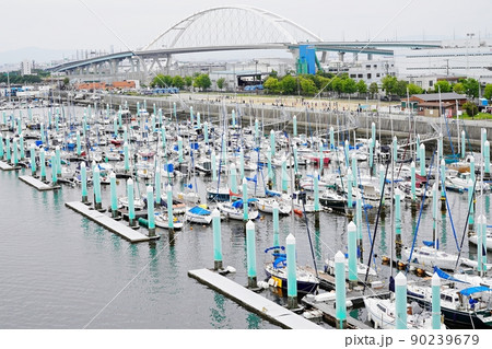 兵庫　西宮市　西宮港　ヨットハーバー（神戸マリーナー）（西宮大橋から、初夏） 90239679