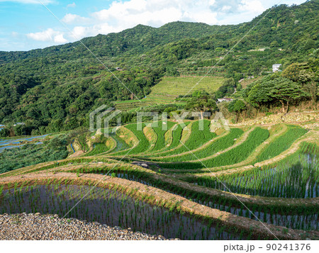 山脈 山岳 ヒルズ 90241376