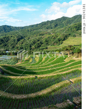山脈 山岳 ヒルズ 90241381