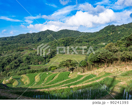 山脈 山岳 ヒルズ 90241393