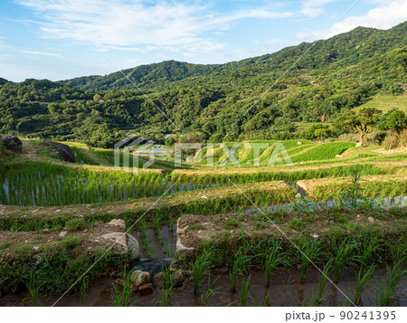 山脈 山岳 ヒルズ 90241395
