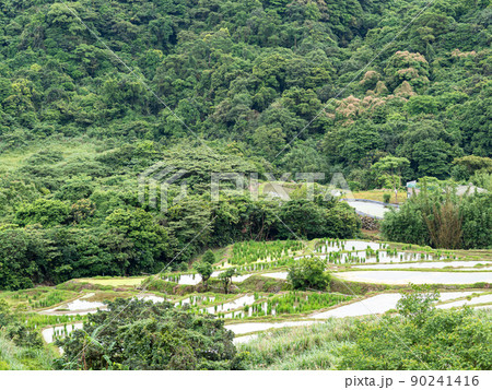 山脈 山岳 ヒルズ 90241416