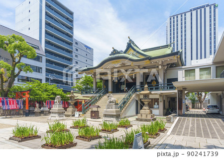 難波神社　新緑の季節（大阪府大阪市中央区博労町） 90241739