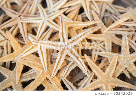 Summer time background concept. Sea starfish  background. 90242029