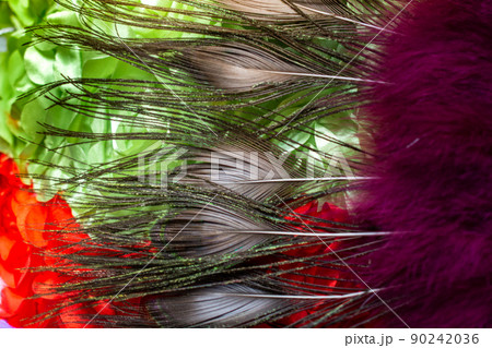 Beautiful bird feathers for decorative aims 90242036