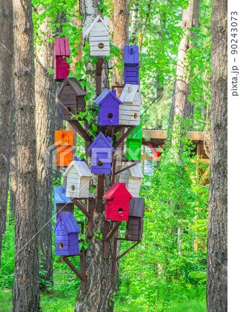 Tree with multi-colored nestboxes in the forest. Birdhouses tree. Tree with multi-colored nestboxes in the forest. Birdhouses tree. 90243073