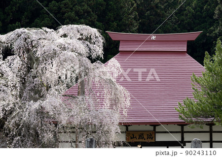永泉寺のサクラ　春の風景 90243110