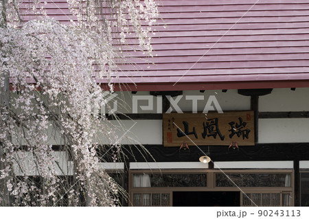 永泉寺のサクラ 春の風景 永泉寺のサクラ 春の風景 90243113