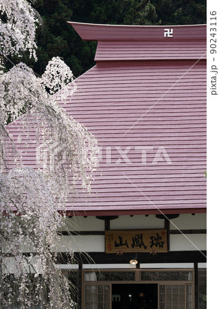 永泉寺のサクラ 春の風景 永泉寺のサクラ 春の風景 90243116