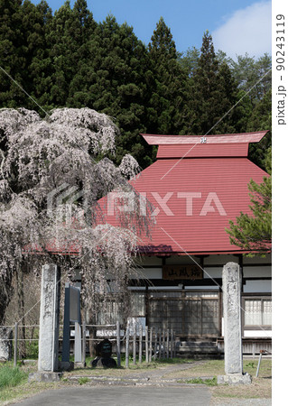 永泉寺のサクラ　春の風景 90243119