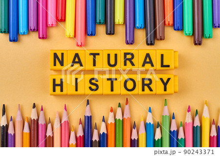 The inscription Natural history written on yellow cubes against color background. 90243371