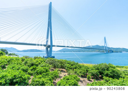 《広島県》レモン谷の風景・レモン谷付近から撮影した風景_多々羅大橋・しまなみ海道 《広島県》レモン谷の風景・レモン谷付近から撮影した風景_多々羅大橋・しまなみ海道 90243808