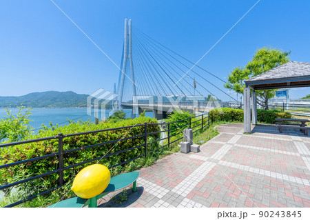 《広島県》レモン谷の風景・レモン谷付近から撮影した風景_多々羅大橋・しまなみ海道 90243845