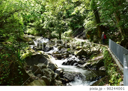湯河原町　万葉公園湯河原惣湯川の道と新緑 90244001
