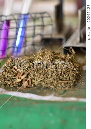 Dry and trimmed cannabis buds with colorful substances on table in laboratory. Herbal alternative medicine, cbd oil concept 90245128