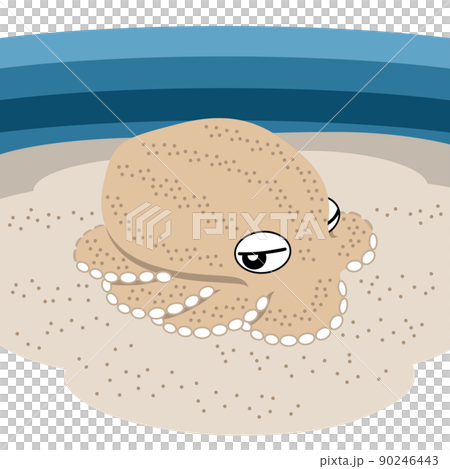 擬態しているタコのイラスト 90246443