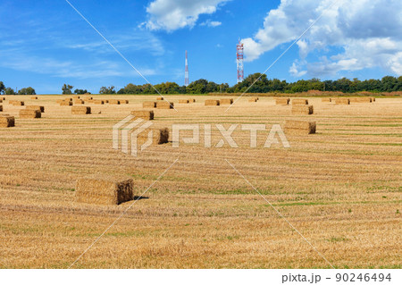 Large rectangular bales of straw on the stubble of an agricultural field against a blue cloudy sky. Large rectangular bales of straw on the stubble of an agricultural field against a blue cloudy sky. 90246494