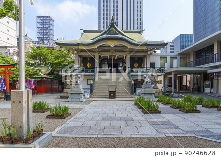 難波神社 本殿 新緑の季節(大阪府大阪市中央区博労町) 難波神社 本殿 新緑の季節(大阪府大阪市中央区博労町) 90246628