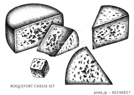 Cheese vintage vector illustrations collection. Black and white roquefort. 90246657