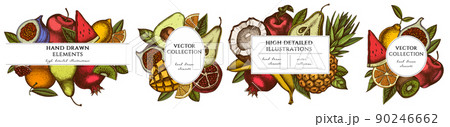 Fruits hand drawn frame templates. Vintage illustrations of bananas, pears, kiwi fruit, apples 90246662